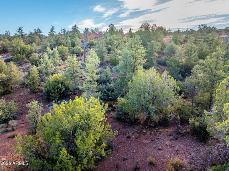 High Desert Lanscape