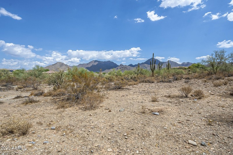 Queens - Community-11