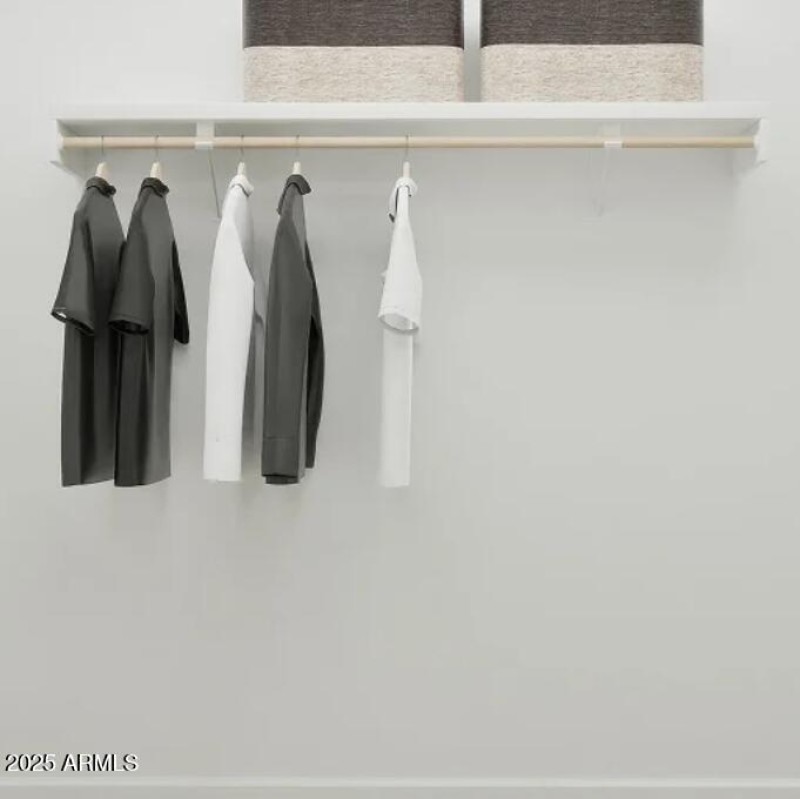 Owners Walk in Closet