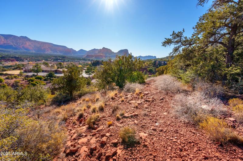 Elevated for the Best Views