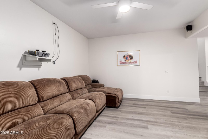 Media Room (Basement)