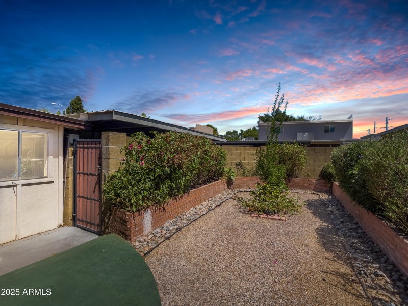 Twilight Backyard(1)