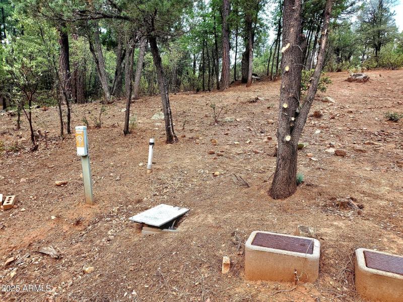 3-20250821_130112_resized_1