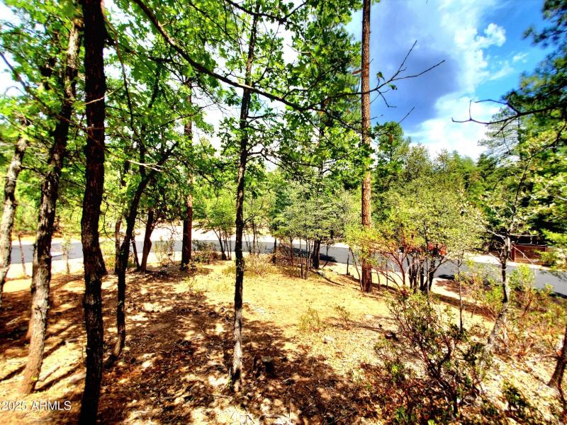 20250821_130313_resized_1