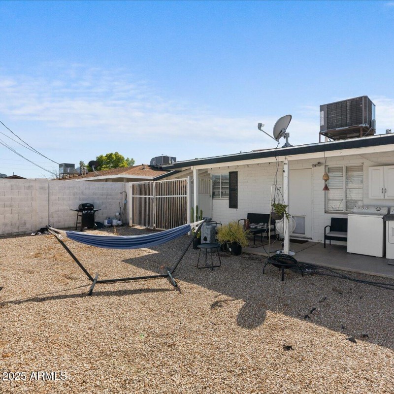 Backyard 449