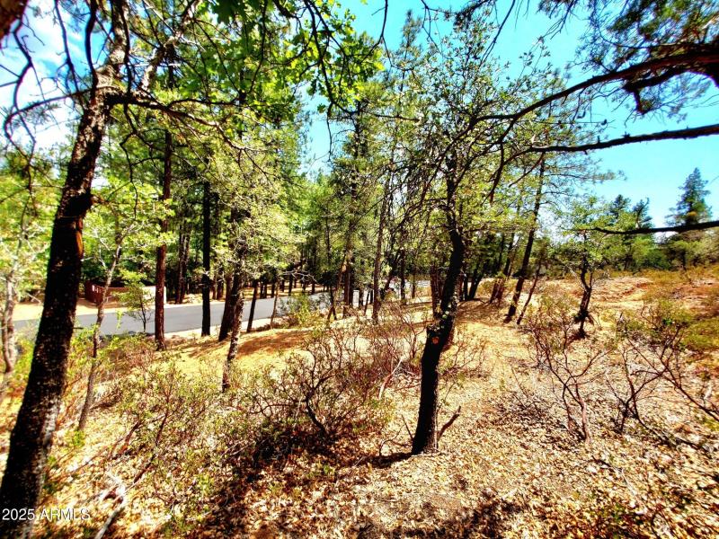 20250821_130340_resized_1