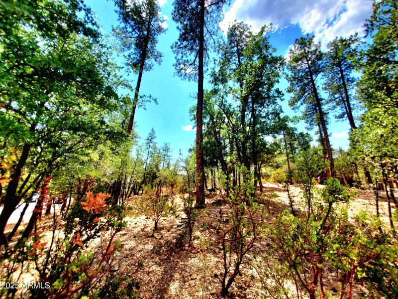 20250821_130443_resized_1