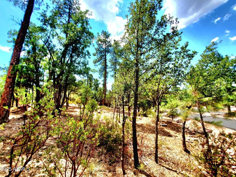 20250821_130450_resized_1