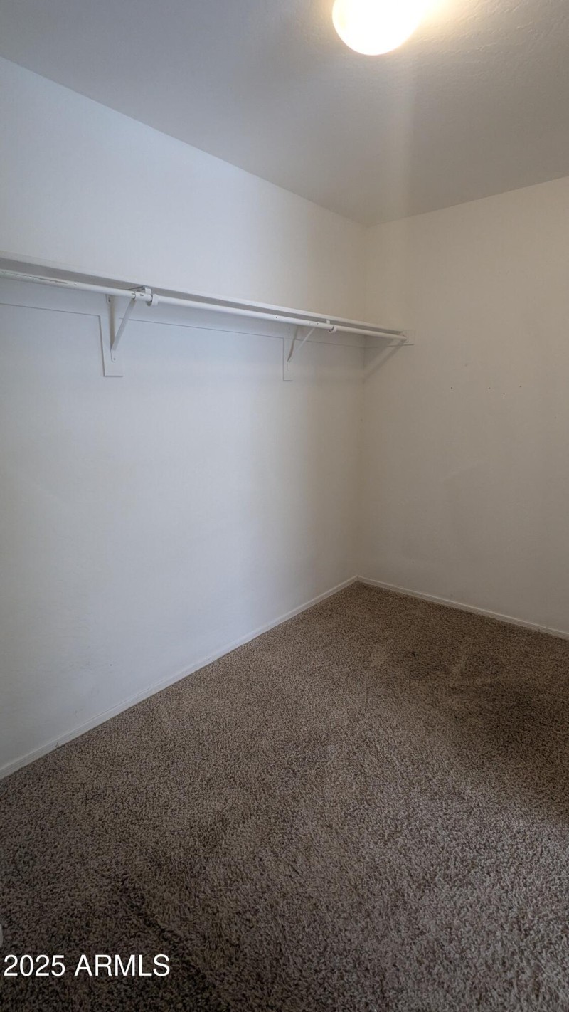 PXL_20250809_175638569