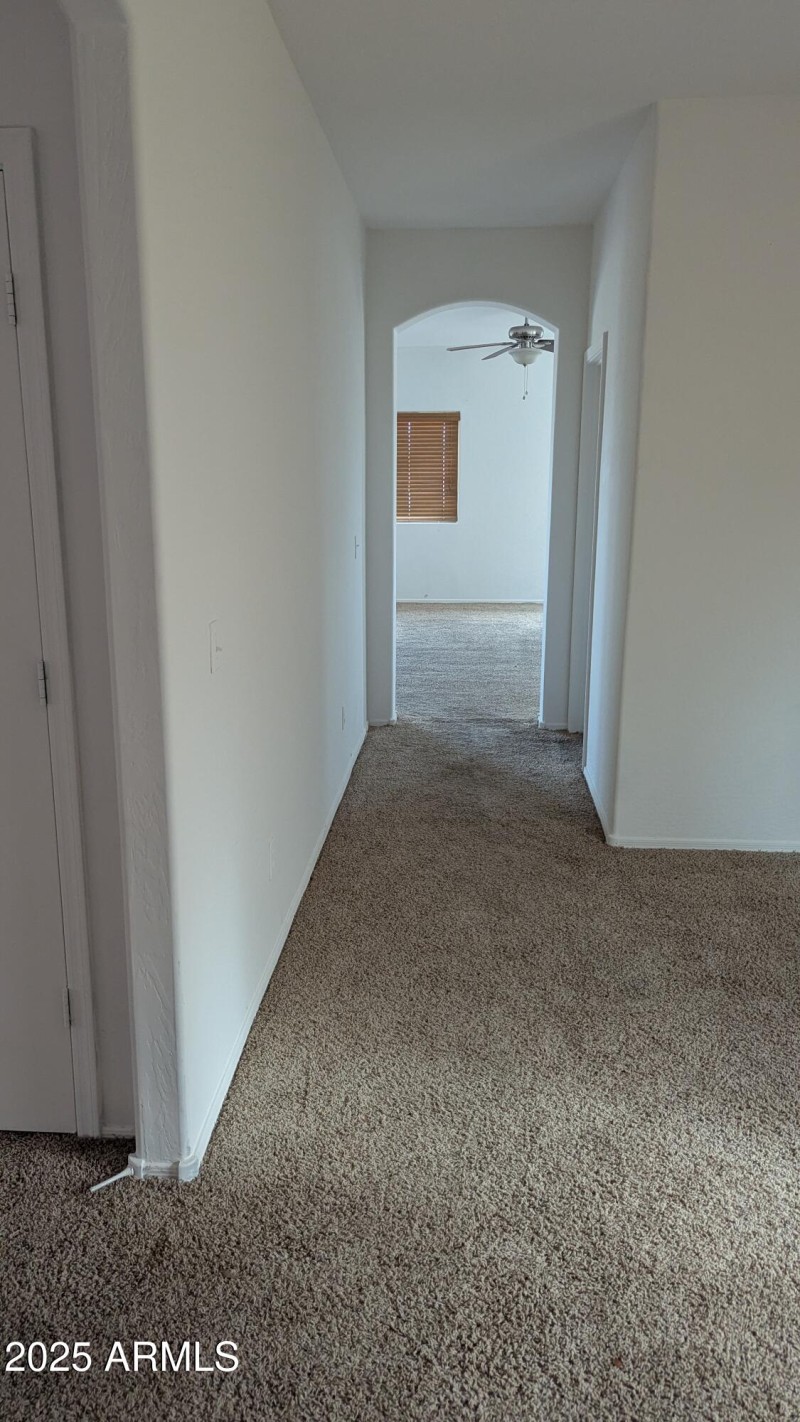 PXL_20250809_173835942