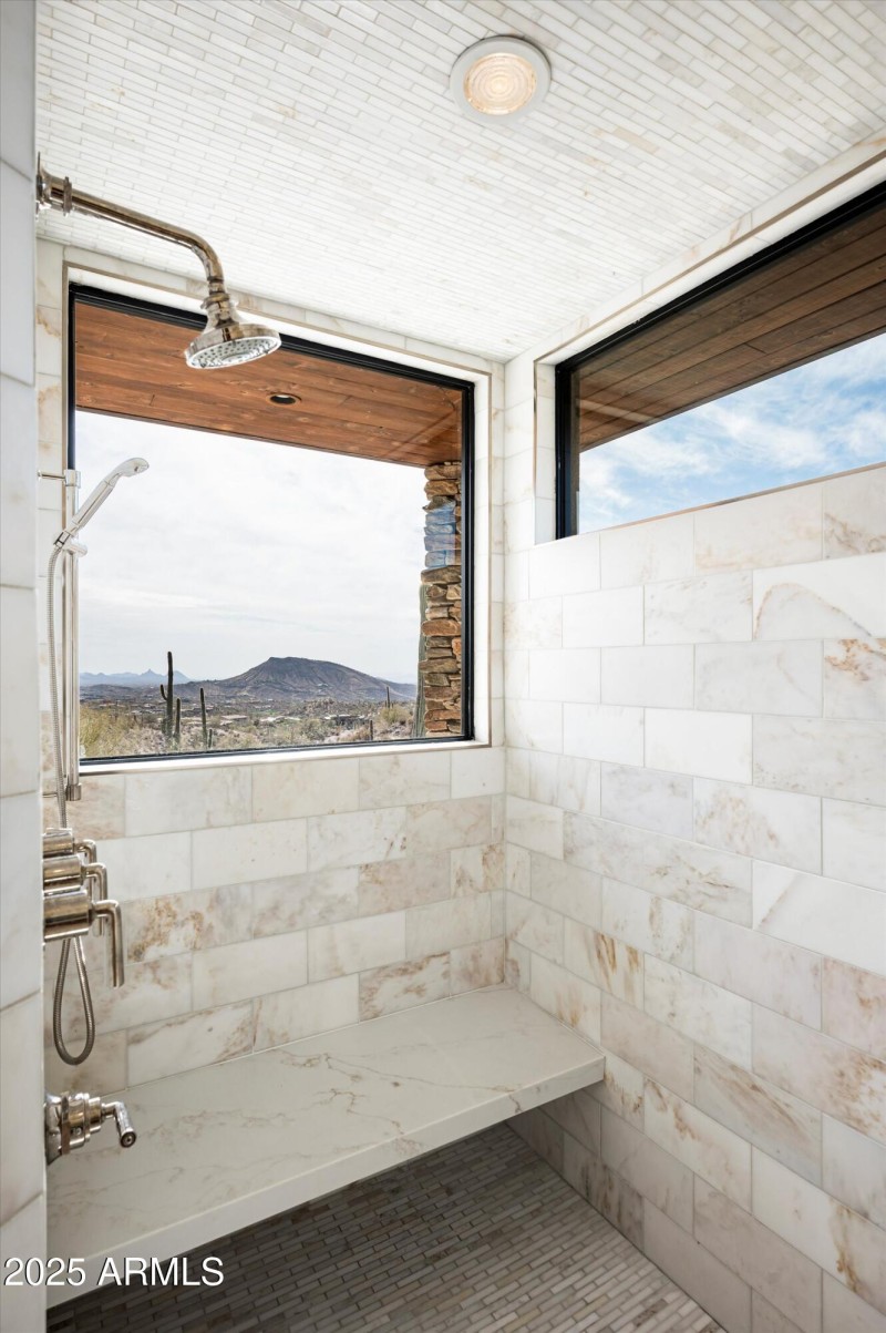 Walk-in shower w/Views