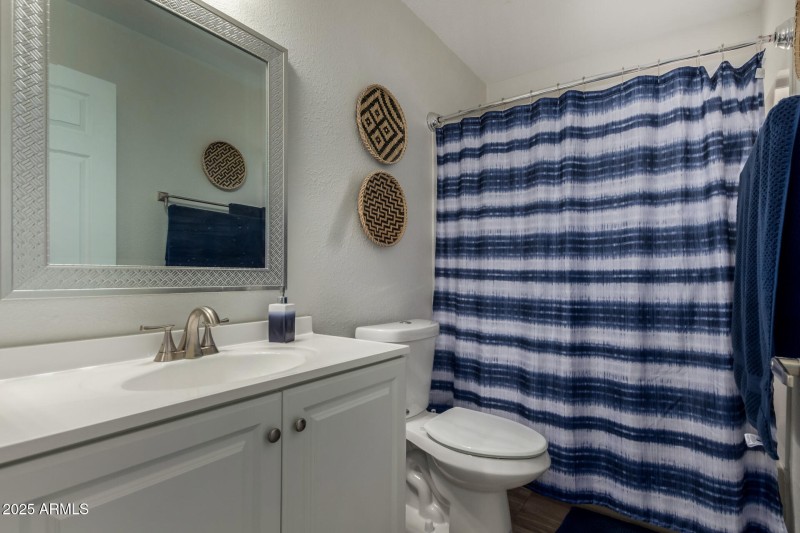 Updated Hall Bathroom