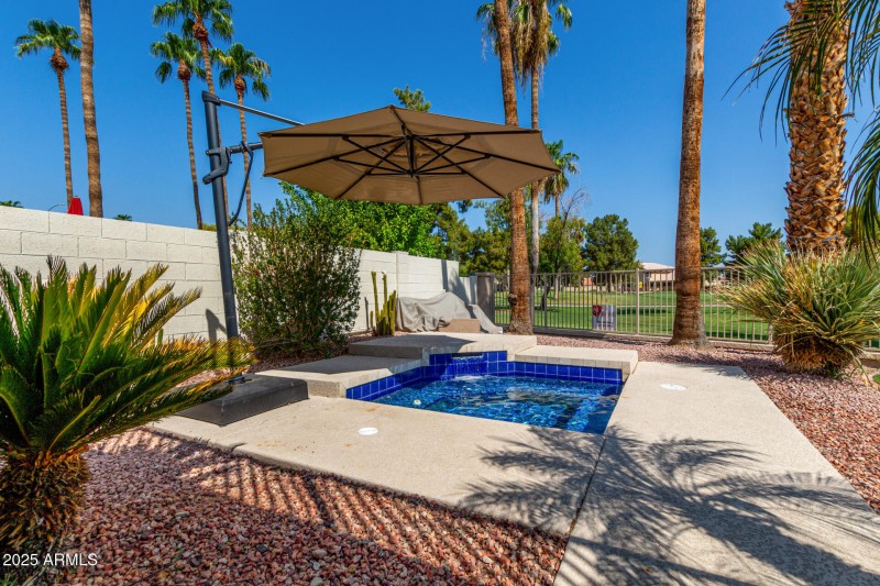 Backyard Spa with Palm Views