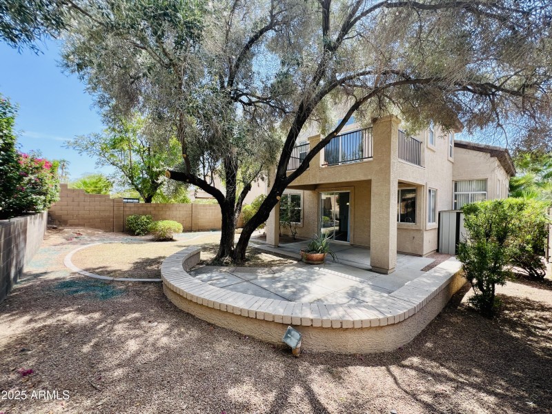 Large Yard, Mature tree and shade
