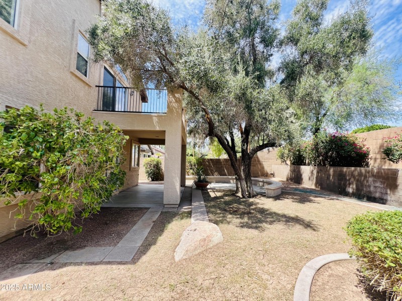 Large Yard, Mature tree and shade