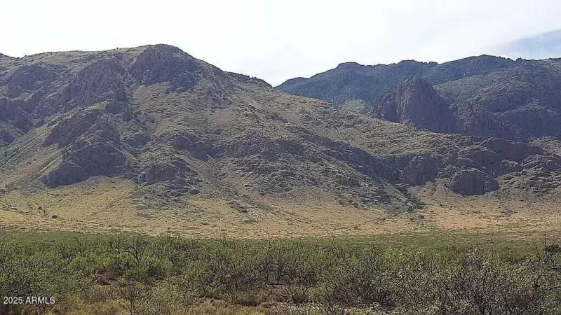 37 Acres Blacktail Rd.