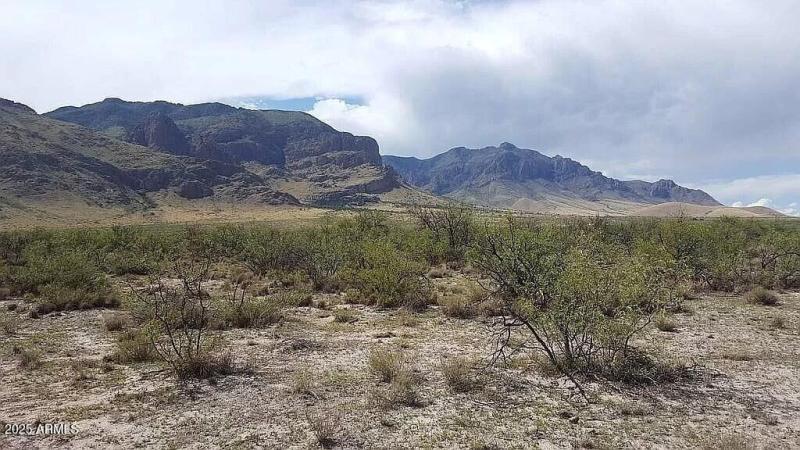 37 Acres Blacktail Rd.