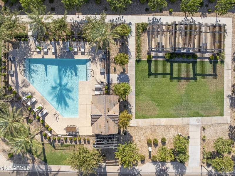 Community Pool & Common Area