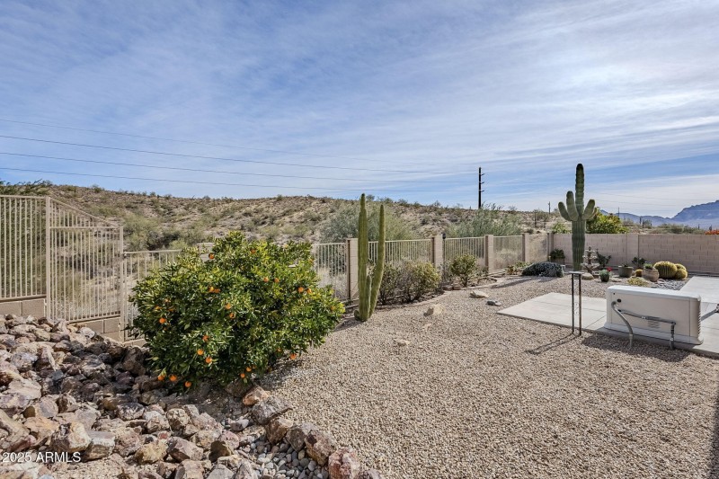 Your own private oasis!