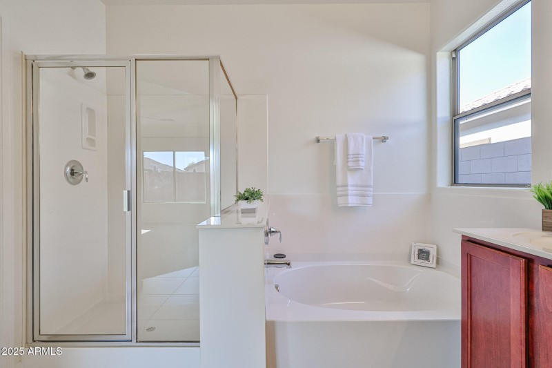 Separate Tub and Shower