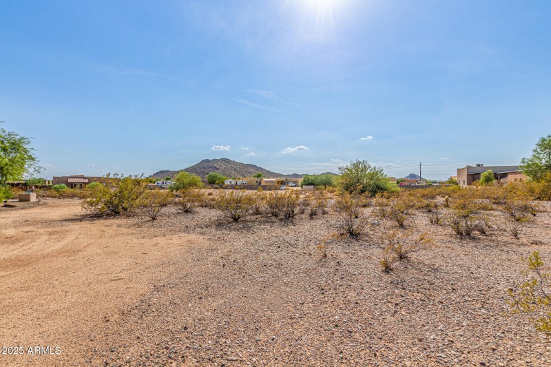 04-West White Feather