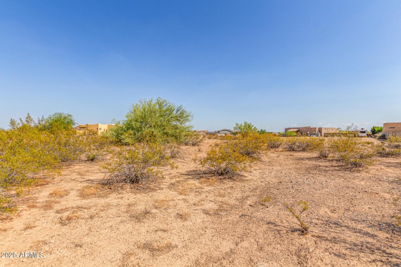 06-West White Feather