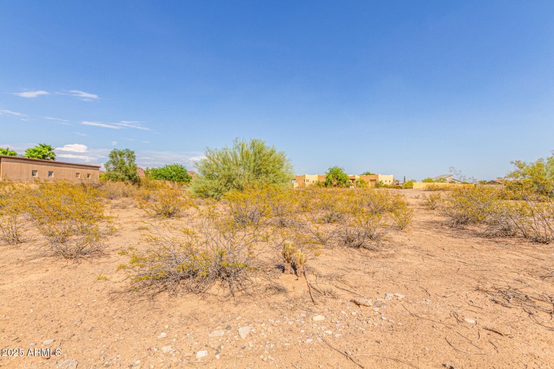 07-West White Feather