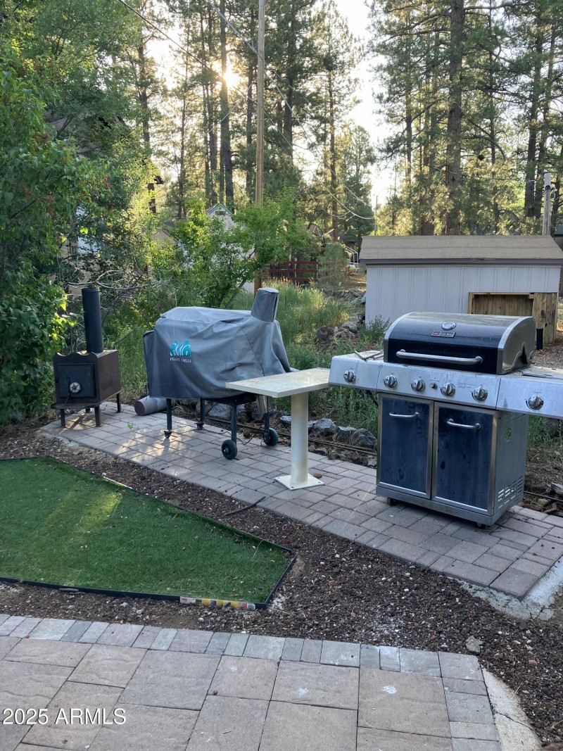 Grill Area & Man Cave #2