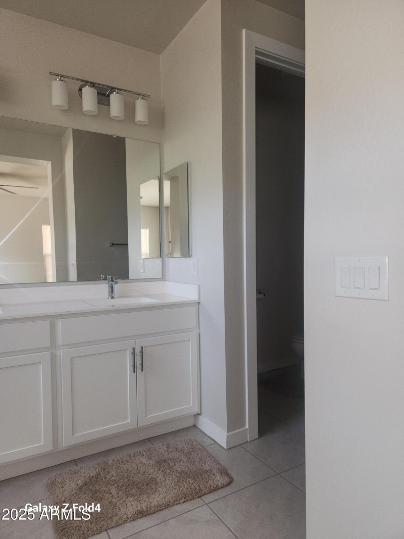 owner suite bathroom 2