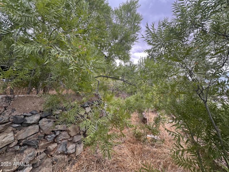 The same upper tarrace, different angle