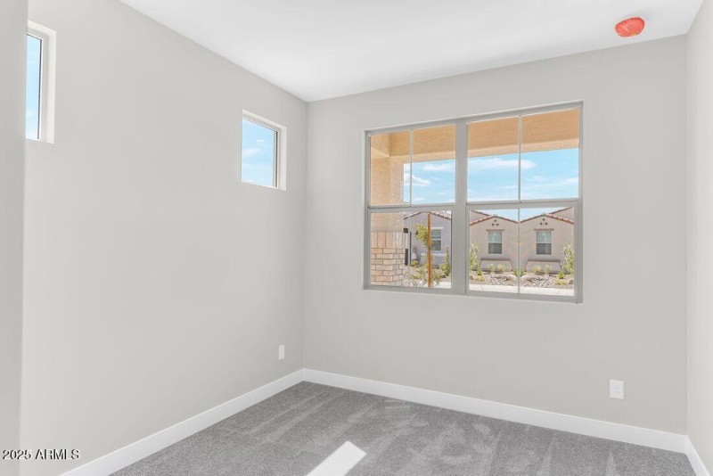 hj-az-phoenix-cantamia-dolce-lot-30151-b