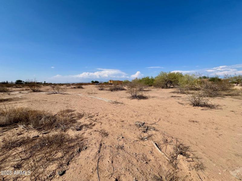 Desert Mirage Facing North