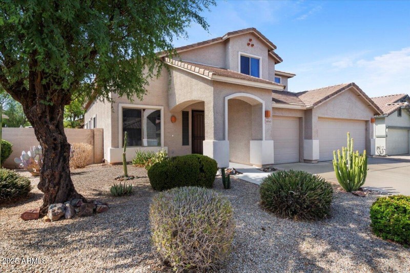 Low Maintenance Landscape