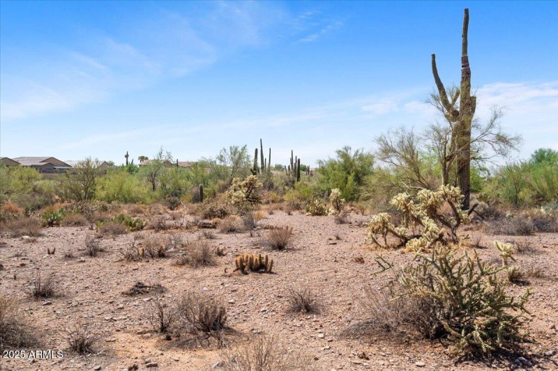 Arizona Living at its Finest