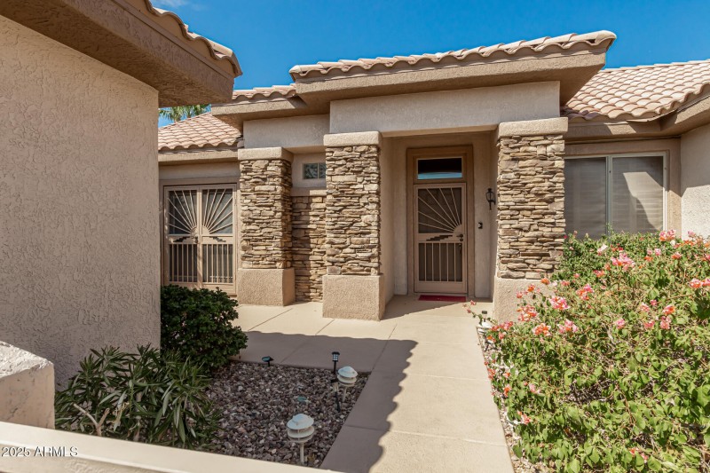 08 - Eucalyptus 15712