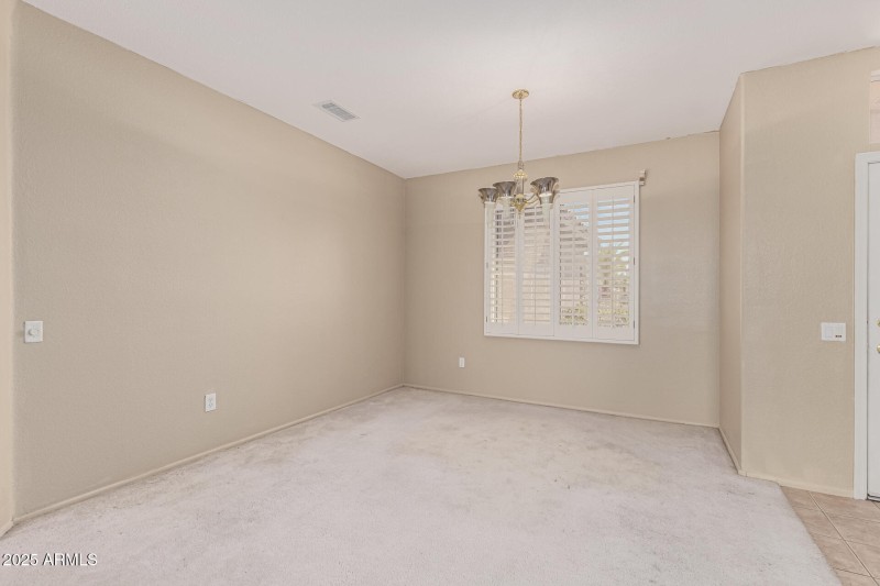 10 - Eucalyptus 15712