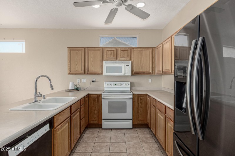 21 - Eucalyptus 15712