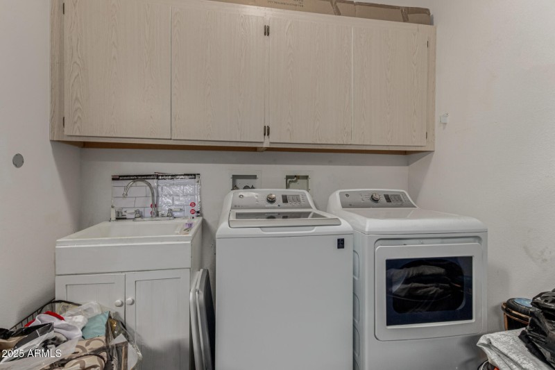 37 - Eucalyptus 15712