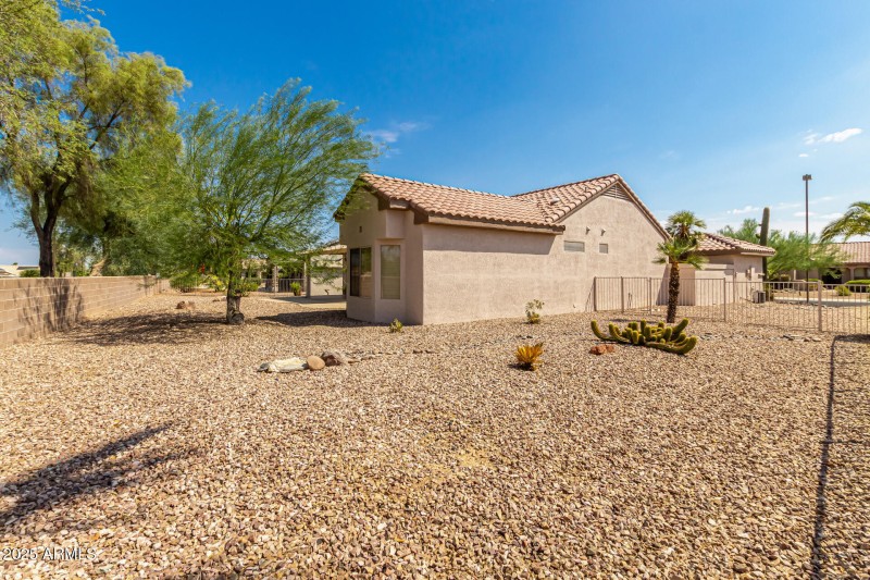 44 - Eucalyptus 15712