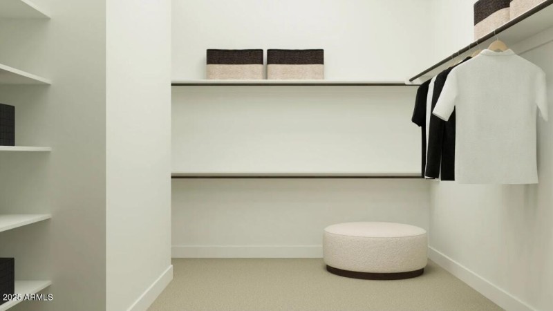 Owner's Walk in Closet