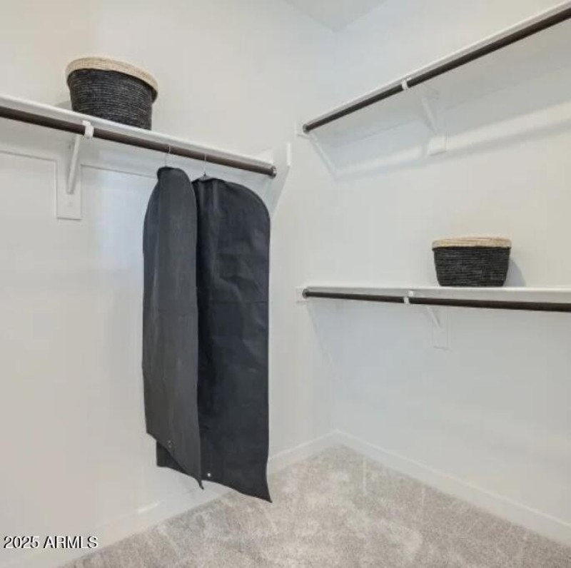 Owners Walk in Closet