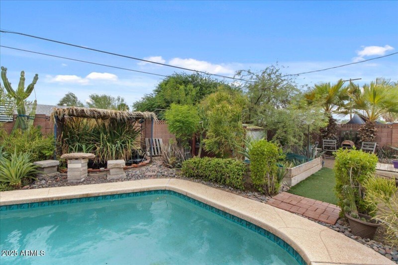 33-Back yard and pool