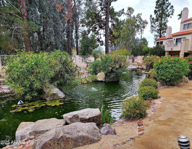 Koi Pond 2 - Copy