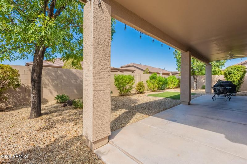 40-web-or-mls-Palm-40