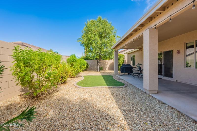 42-web-or-mls-Palm-42