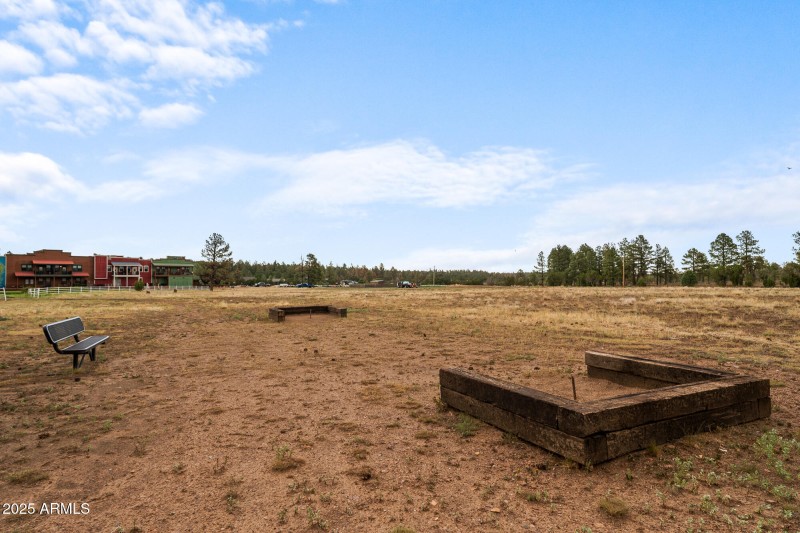 twinflamerem-41_(2000)