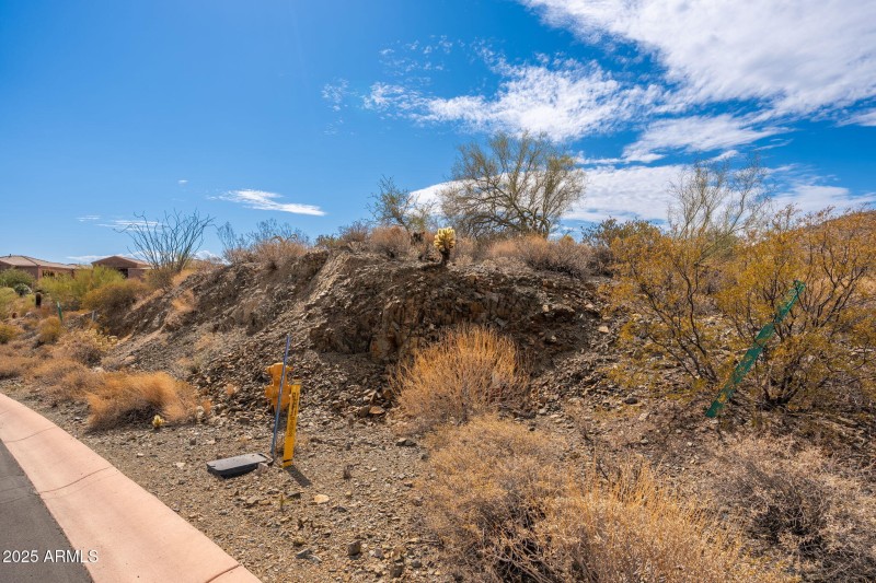 16217 N Desert Fox Pkwy