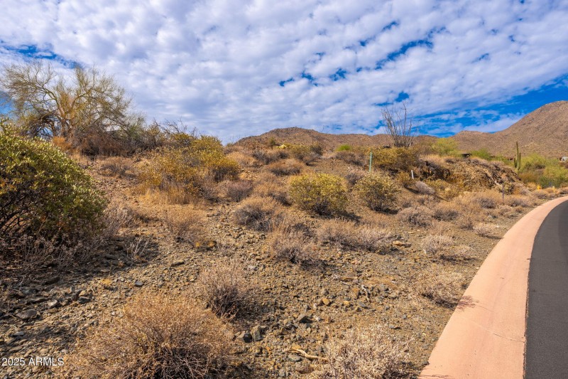 16217 N Desert Fox Pkwy