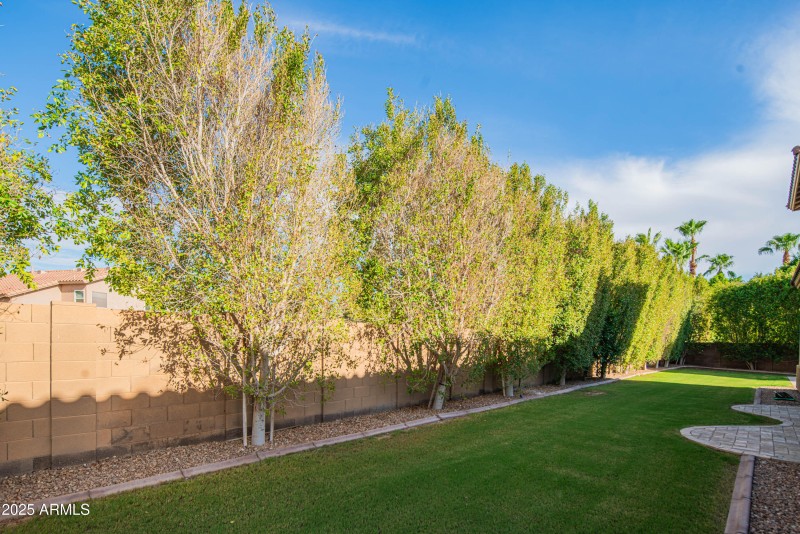 craigrootimaging_snc-104