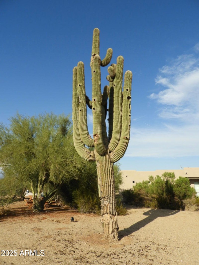 PHOTO-2025-08-16-08-51-34